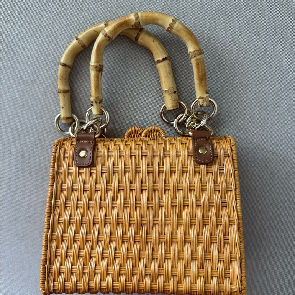 Serpui Woven Handbag with Bamboo Handles